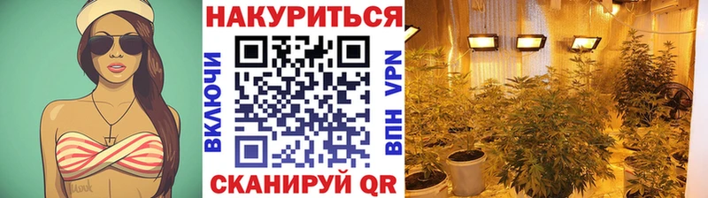 Конопля AK-47  мега рабочий сайт  Шахунья  цена  